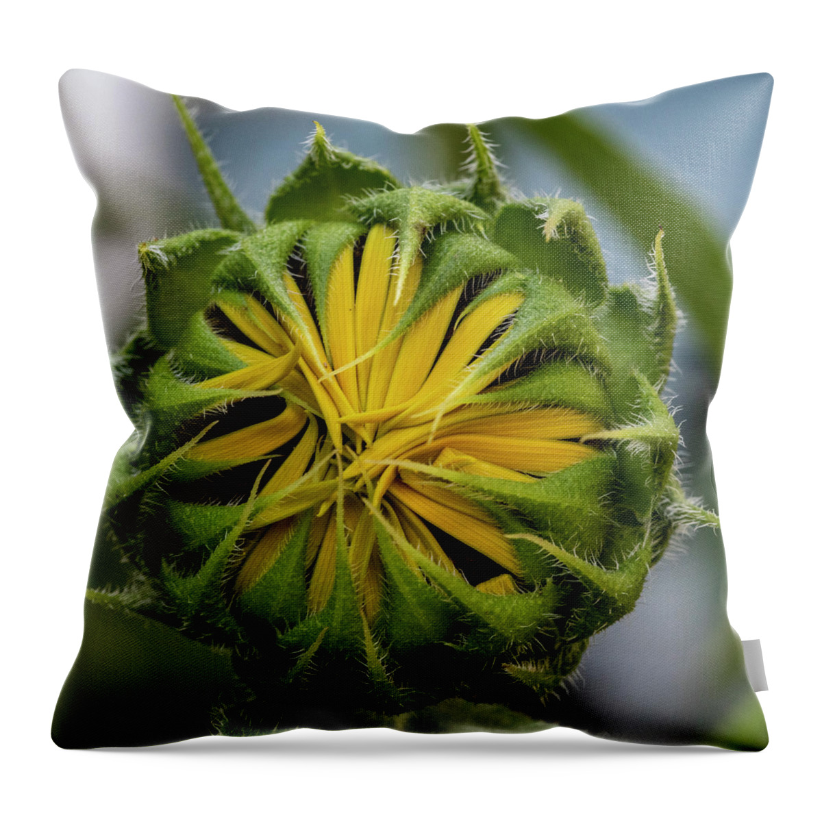 Flower Throw Pillow featuring the photograph Hello Bud by Cathy Kovarik