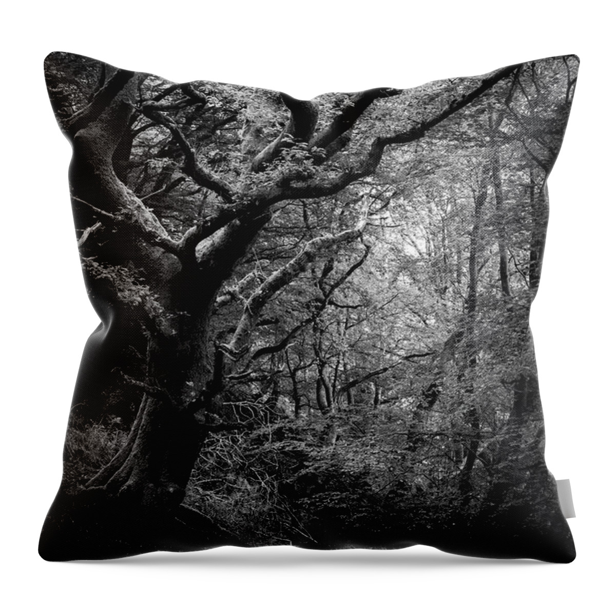 Tree Throw Pillow featuring the photograph Hello darkness by Gavin Lewis