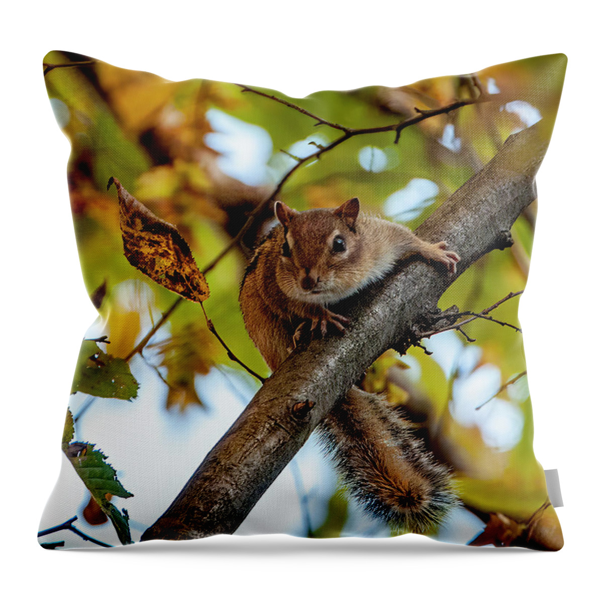 Animal Throw Pillow featuring the photograph Hello There by Cathy Kovarik