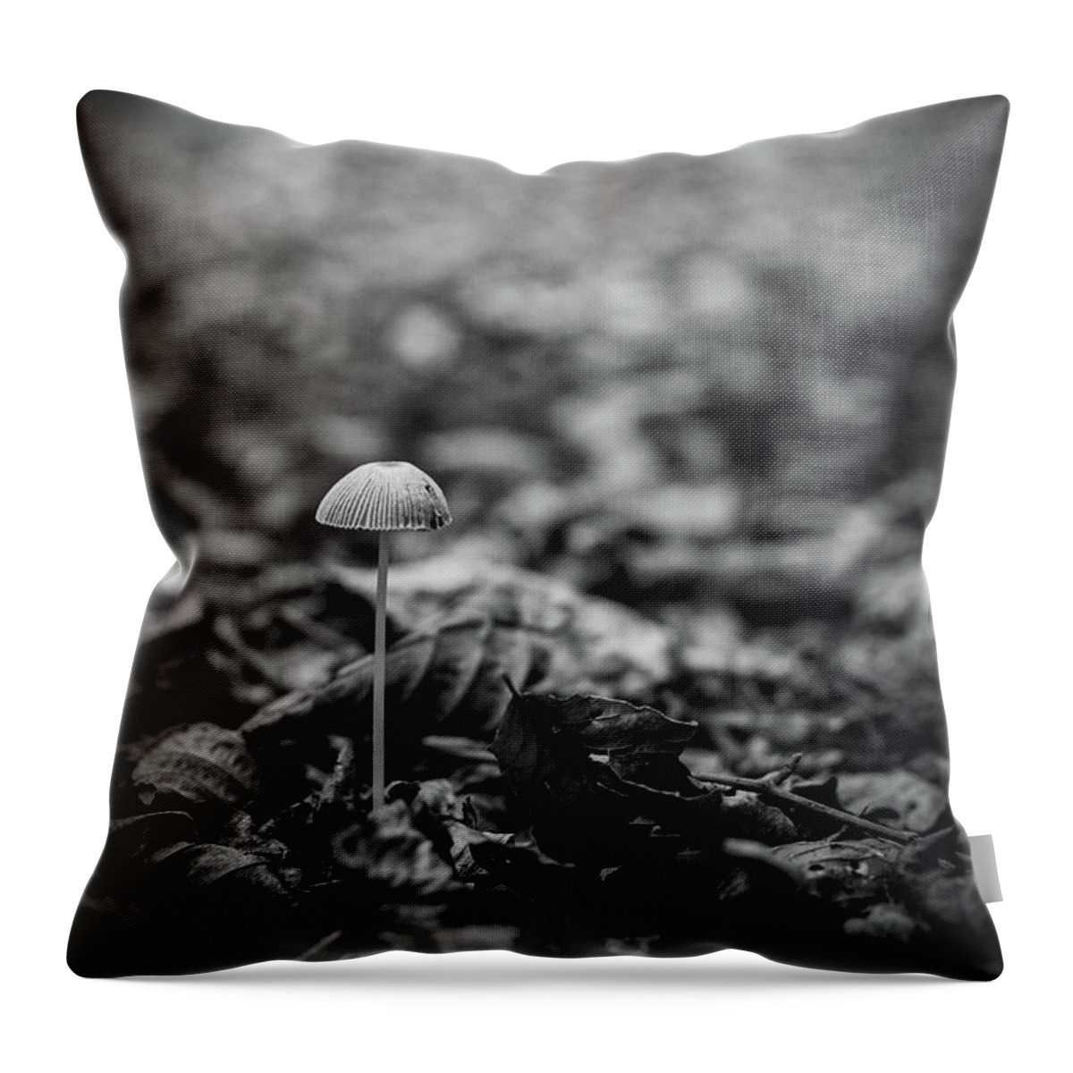 Mushroom Throw Pillow featuring the photograph Hello there little one by Gavin Lewis