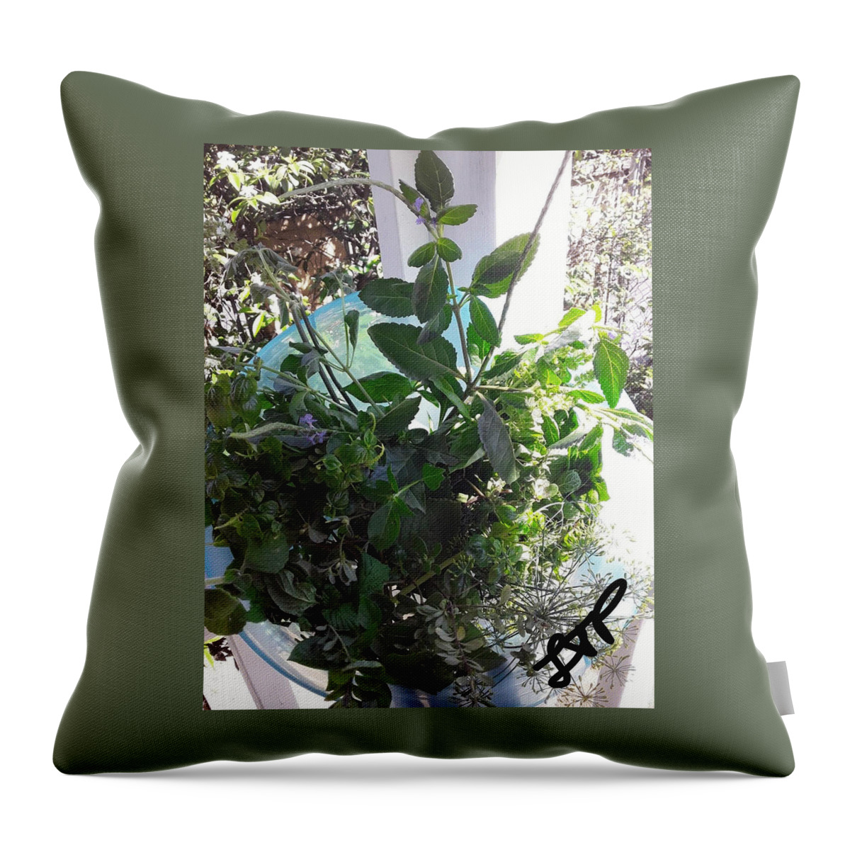 Herbs Throw Pillow featuring the photograph Herbal Bouquet by Esoteric Gardens KN