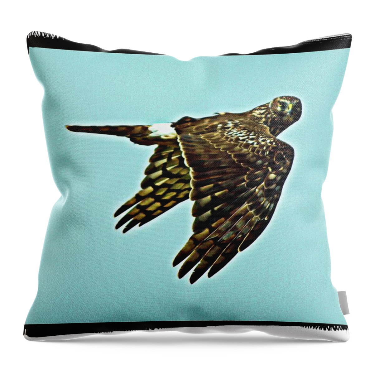 Animal Throw Pillow featuring the digital art Here's Looking At You Kid Again by David Desautel
