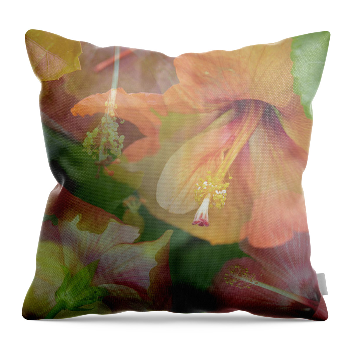 Flowers Throw Pillow featuring the photograph Hibiscus Multiple by M Kathleen Warren