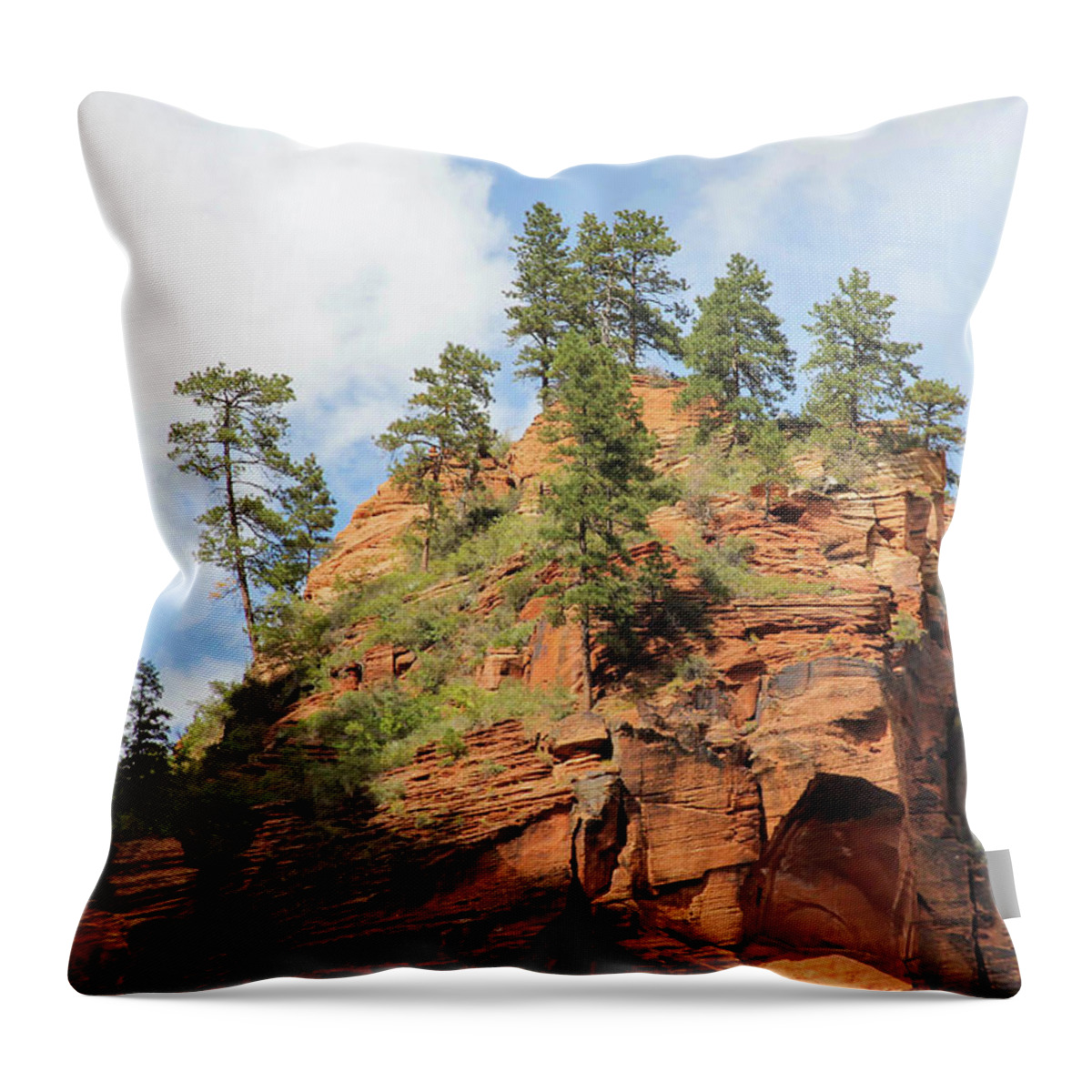 Landscape Throw Pillow featuring the photograph High Above the Canyon by Robert Carter
