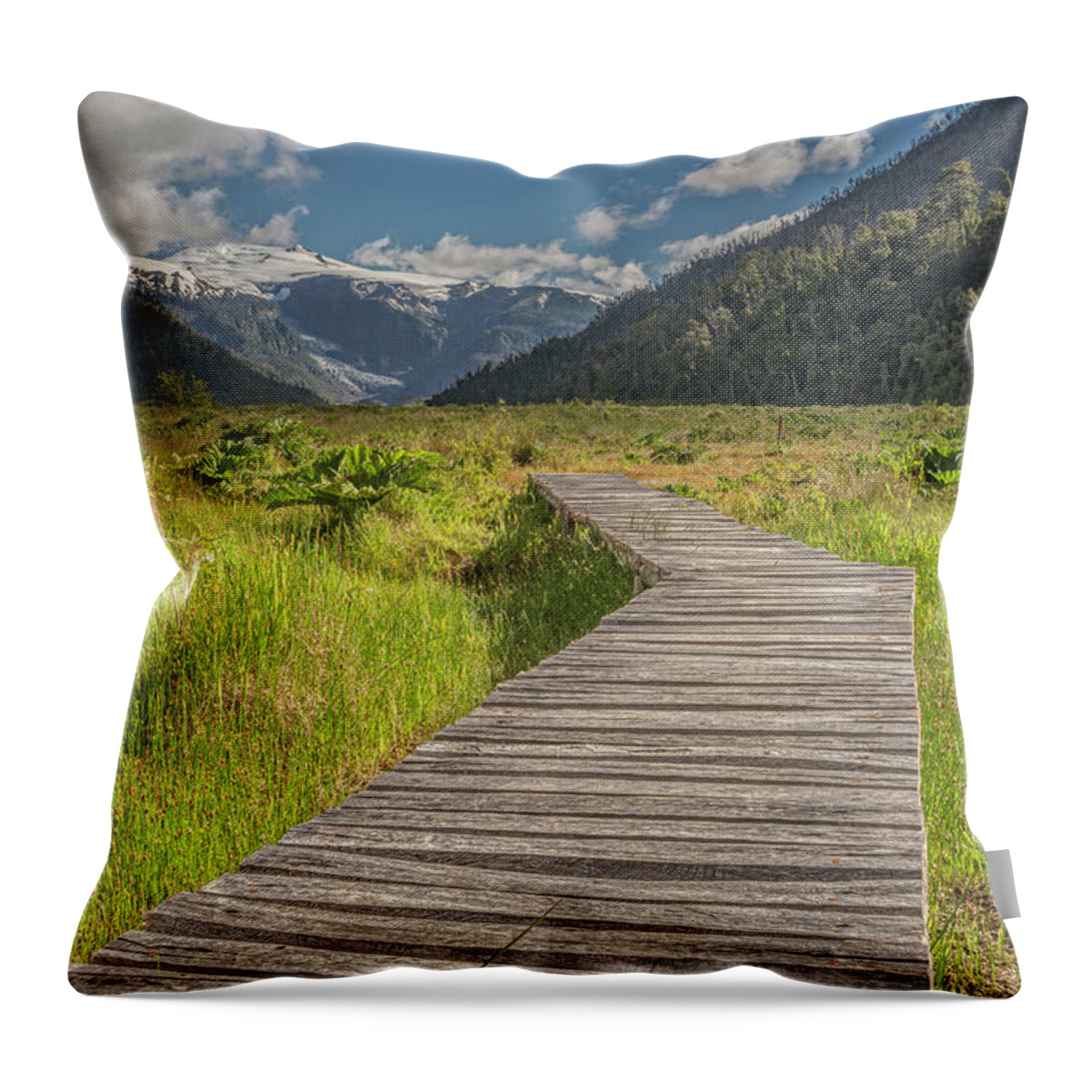 Chile Throw Pillow featuring the photograph Hiking path to the Michinmahuida glacier by Henri Leduc