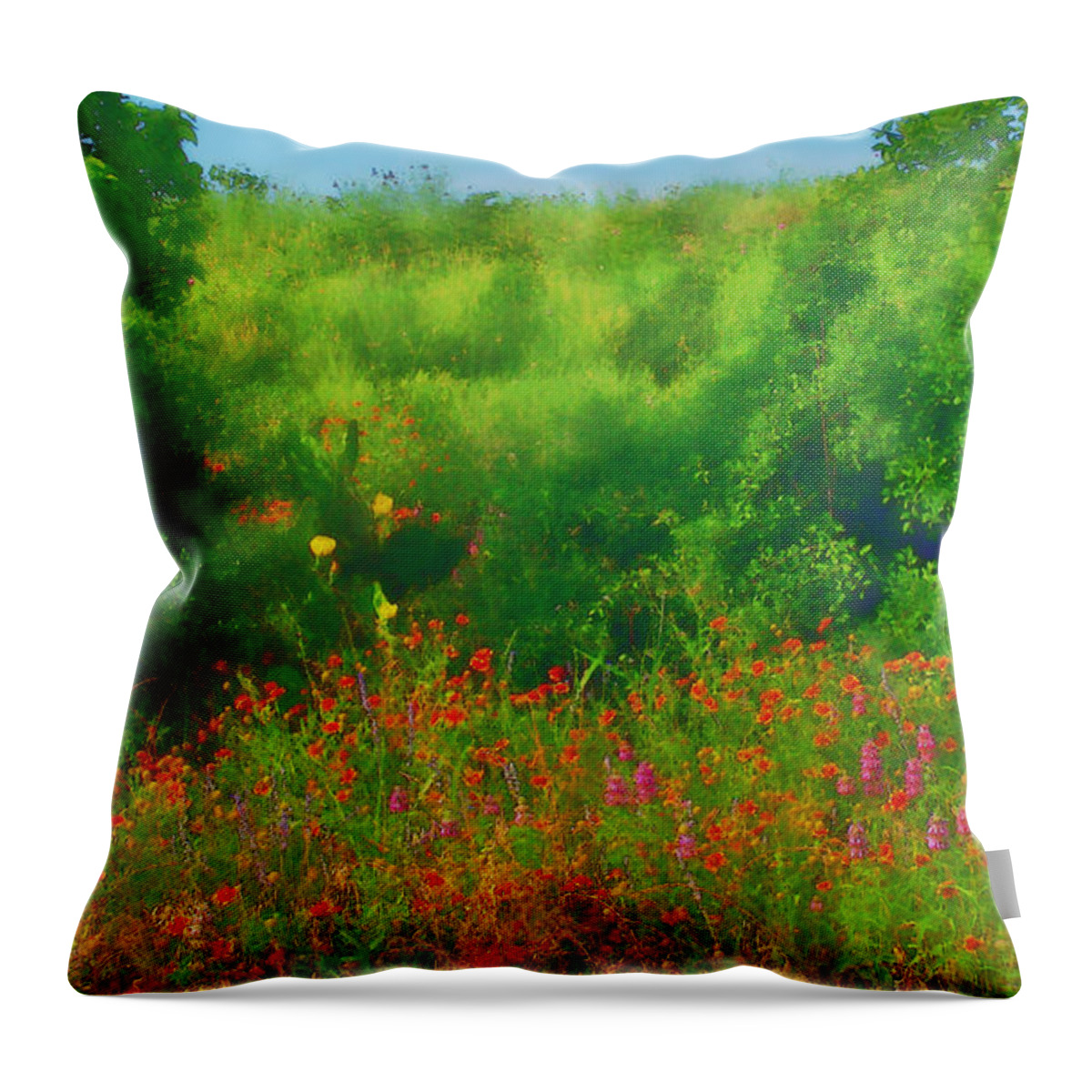 Hill Country Texas Scenic Throw Pillow featuring the digital art Hill Country Texas Wildflower Fields by Pamela Smale Williams
