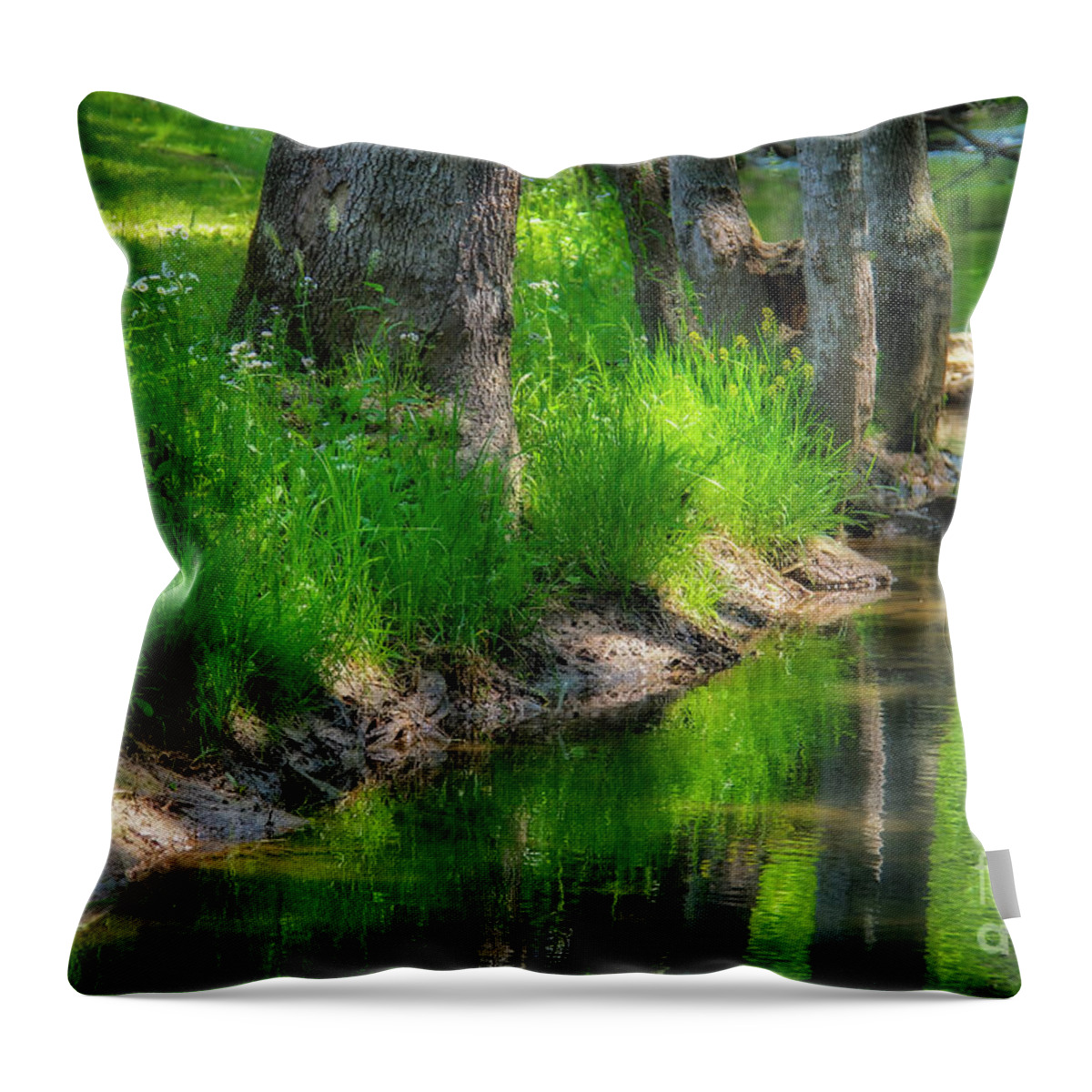 Fall Creek Throw Pillow featuring the photograph Historic Fall Creek by Shelia Hunt