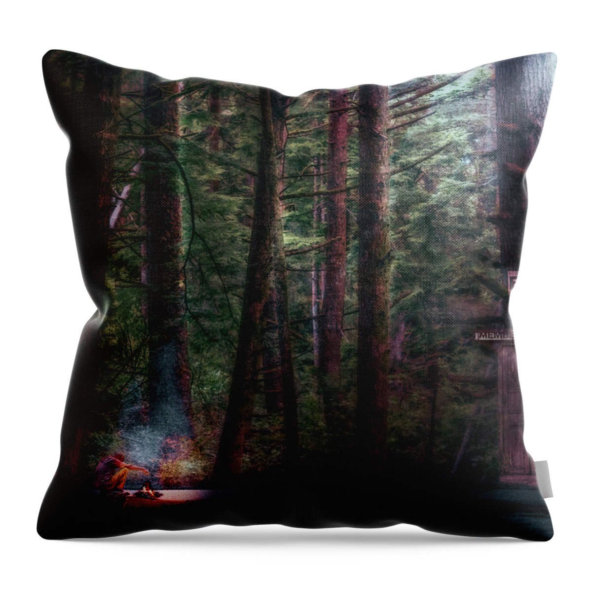Photography Throw Pillow featuring the photograph Holodream by Craig Boehman