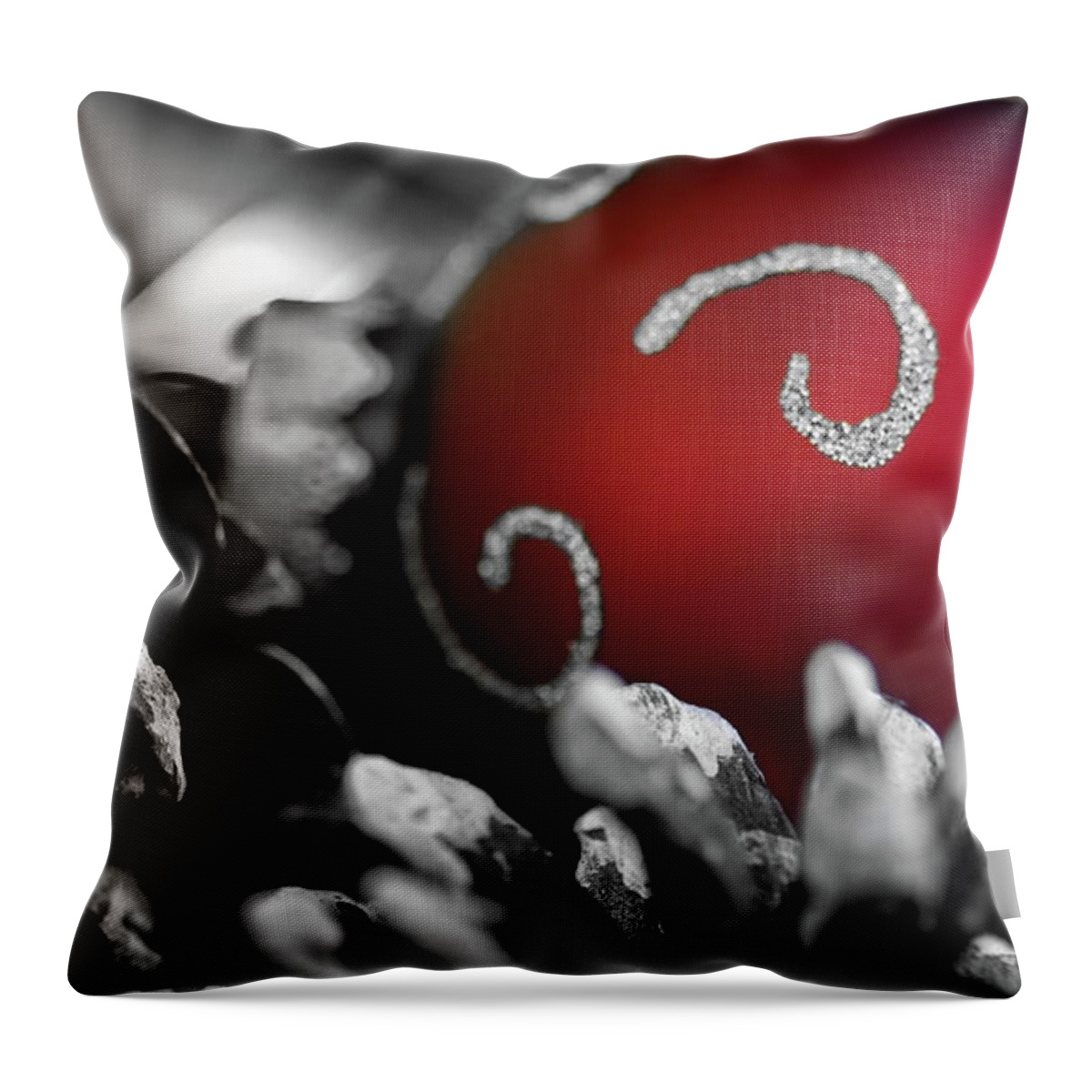 Holidays Throw Pillow featuring the photograph Home for the Holidays by Doug Sturgess