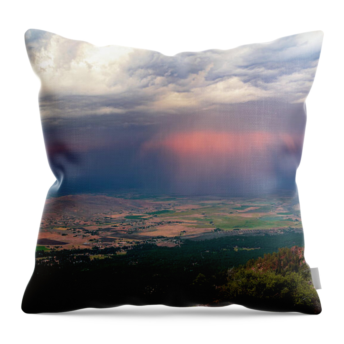 Grass Throw Pillow featuring the photograph Honey Lake Moods Panorama by Mike Lee