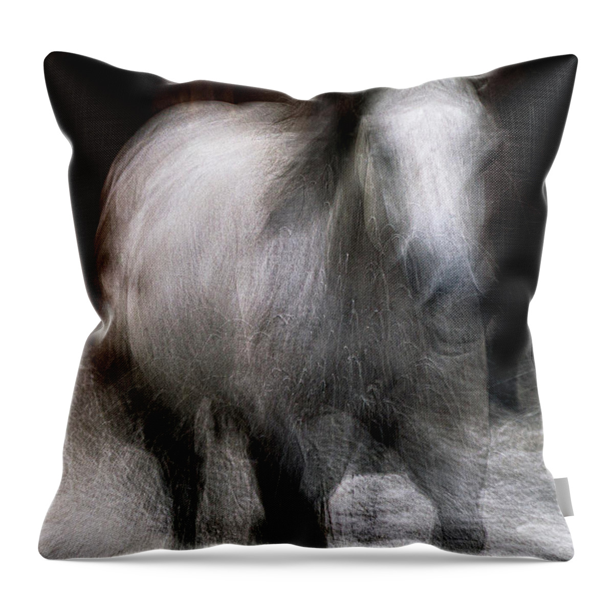 Landscape Throw Pillow featuring the photograph Horse by Grant Galbraith