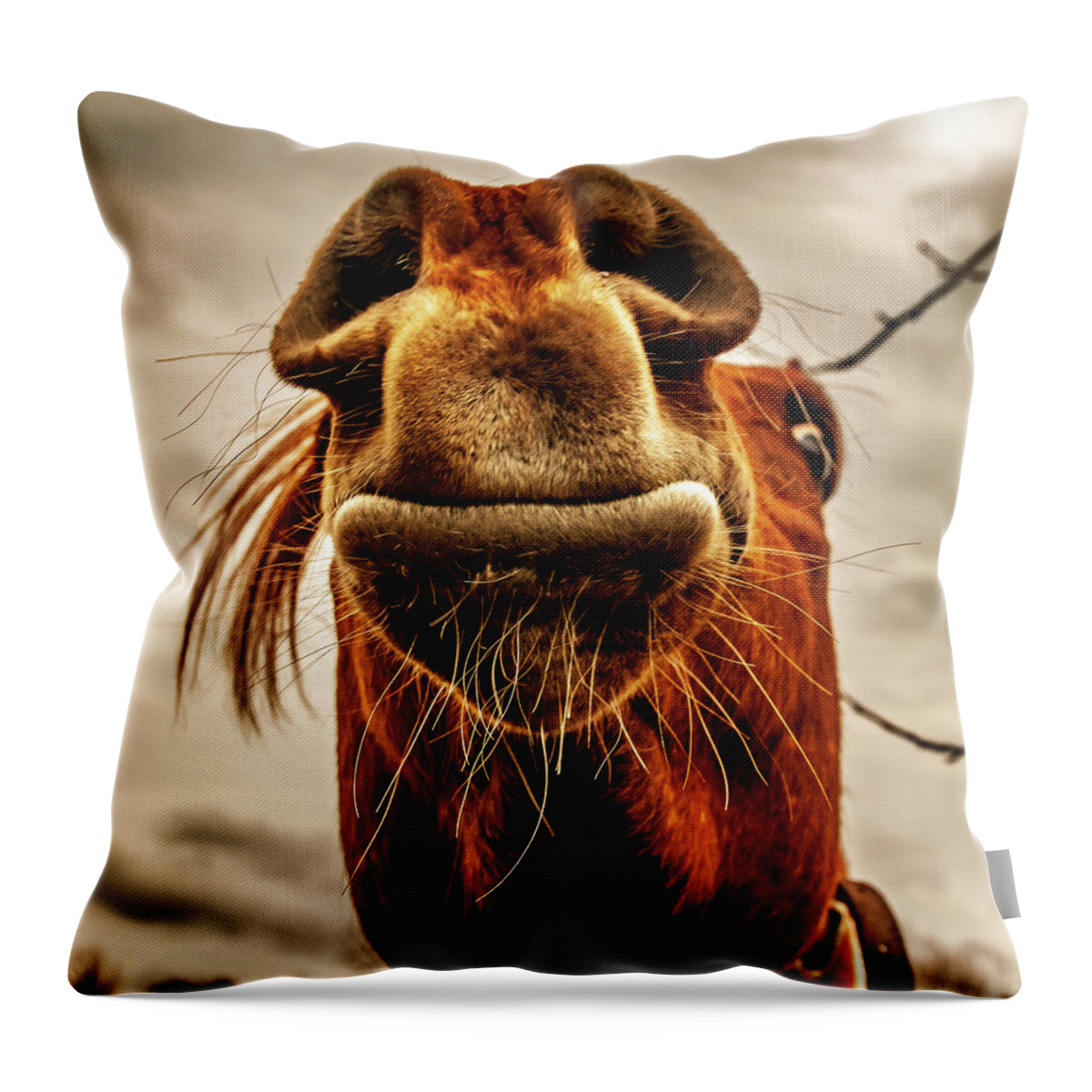 Horses New Jersey Medford Throw Pillow featuring the photograph Horse Head Mr. Ed by Louis Dallara