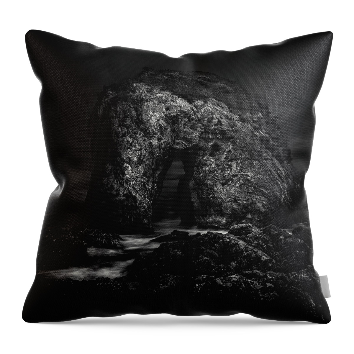 Monochrome Throw Pillow featuring the photograph Horse Head Rock by Grant Galbraith