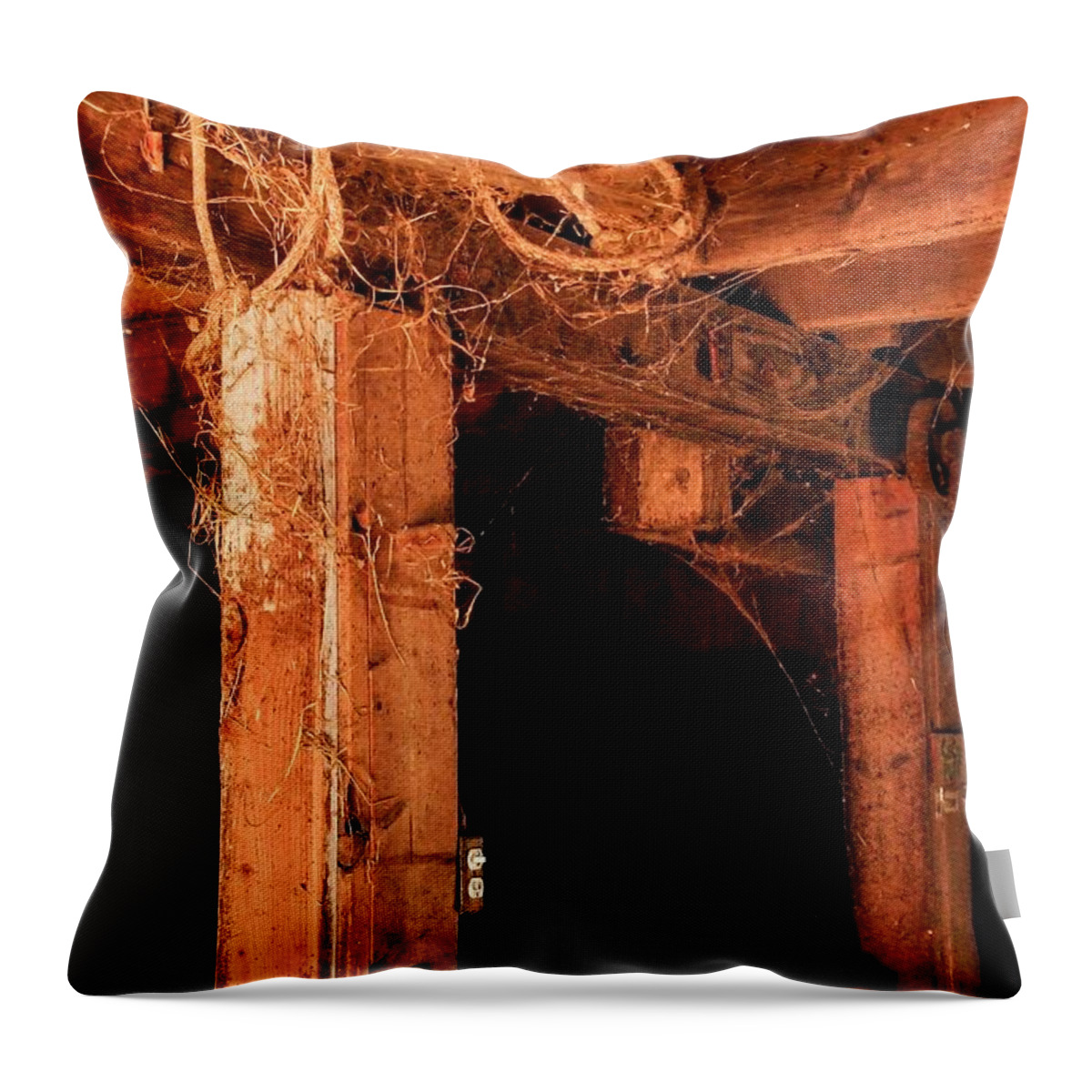 Horse Stable Wood Sepia Web Throw Pillow featuring the photograph Horse Stable by John Linnemeyer