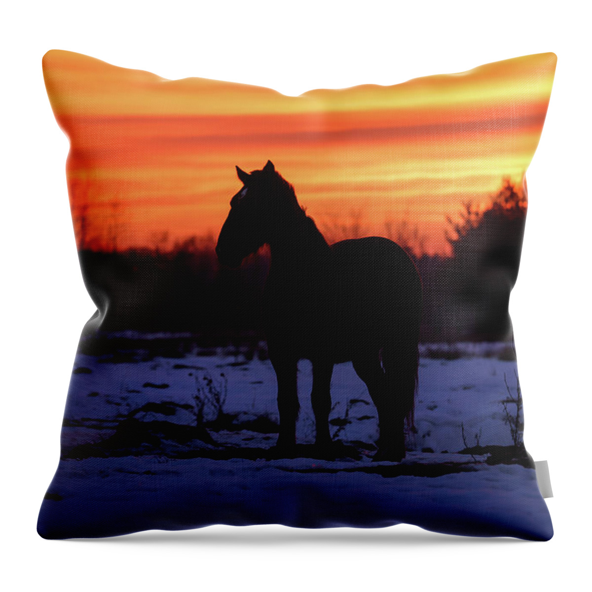 Horse Sunset Throw Pillow featuring the photograph Horse Sunset by Brook Burling