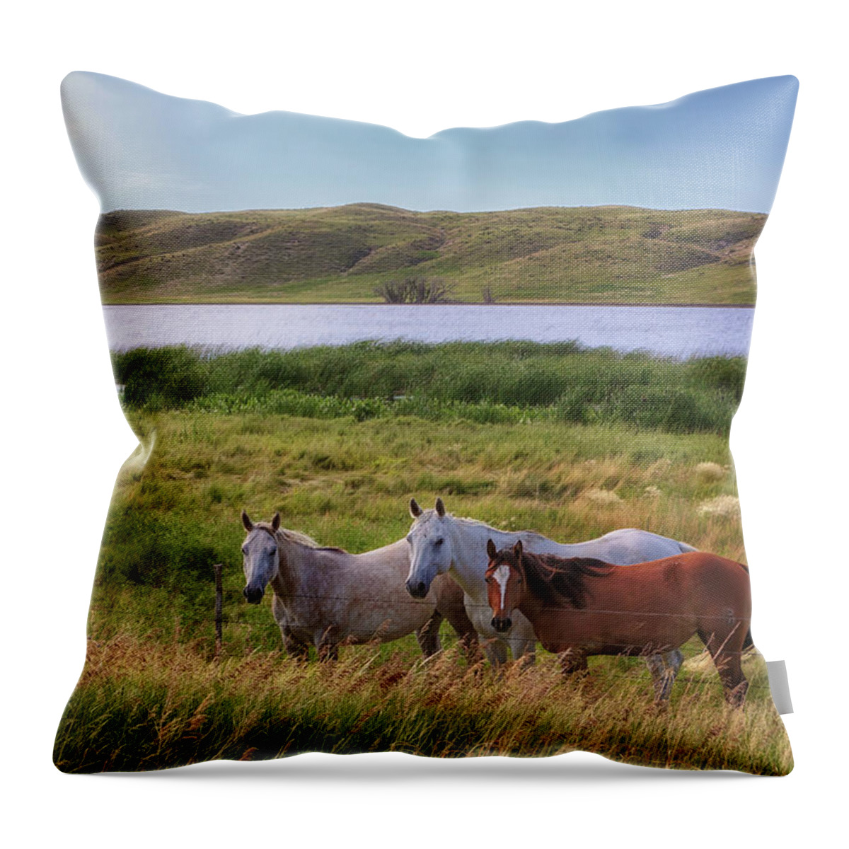 Horses Throw Pillow featuring the photograph Horses at Beem Lake - Sandhills Journey by Susan Rissi Tregoning