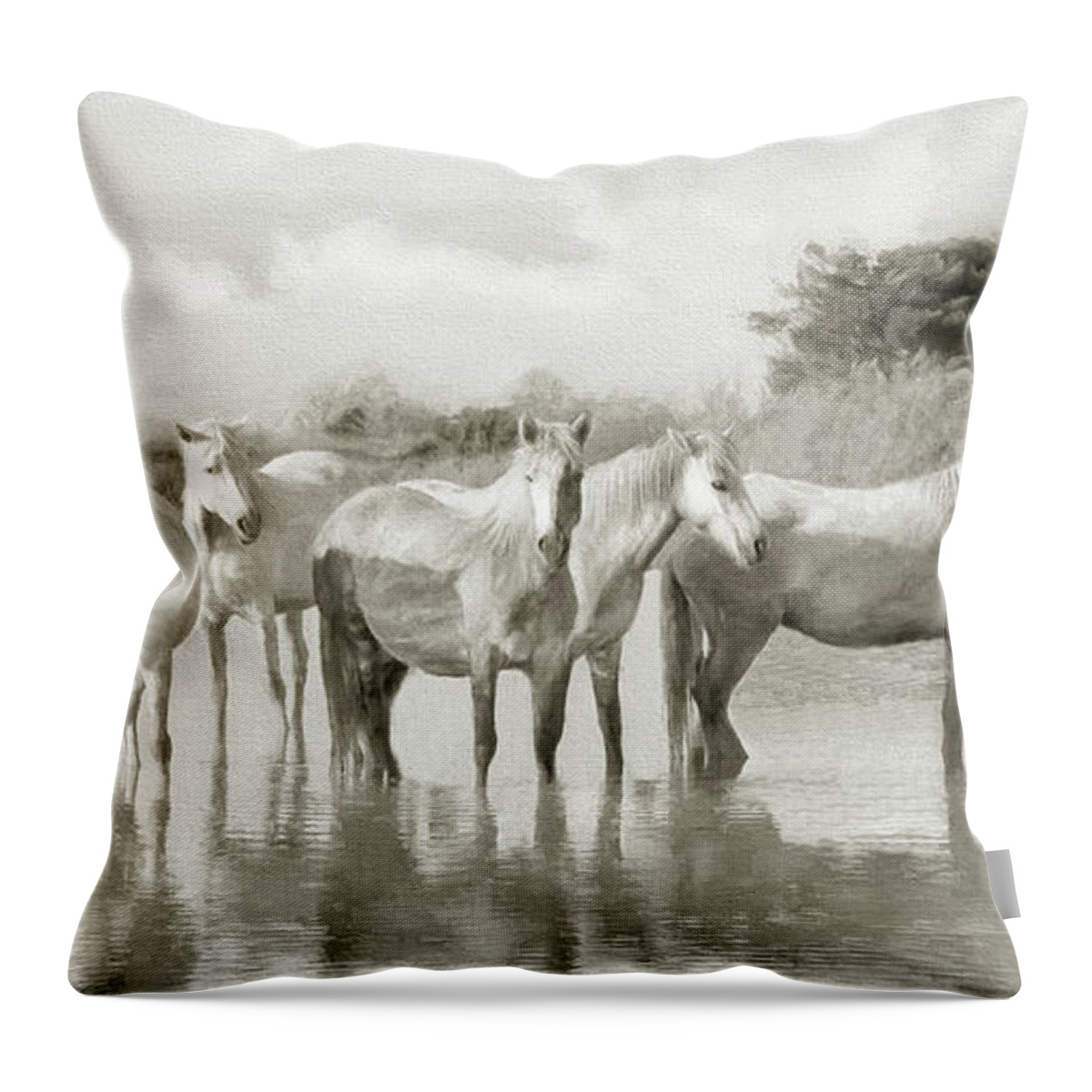 Horse Throw Pillow featuring the photograph Wild Horses Resting by Karen Lynch