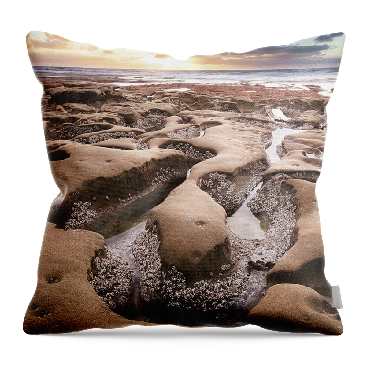 Beautiful Throw Pillow featuring the photograph Hospitals Reef La Jolla by Gary Geddes