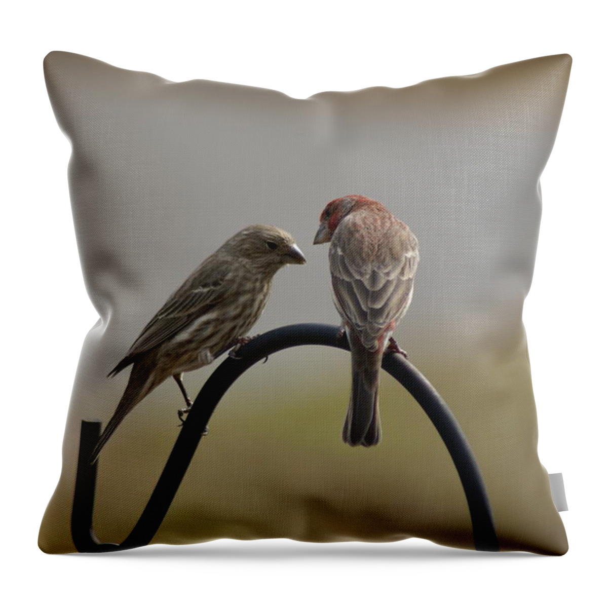 Throw Pillow featuring the photograph House Finch Pair by Heather E Harman