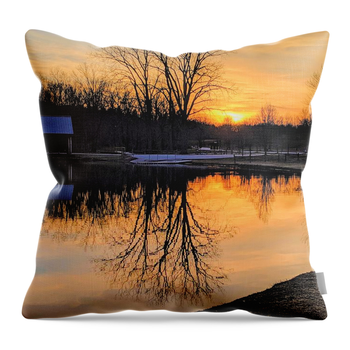  Throw Pillow featuring the photograph Hudson Springs Park Sunset by Brad Nellis