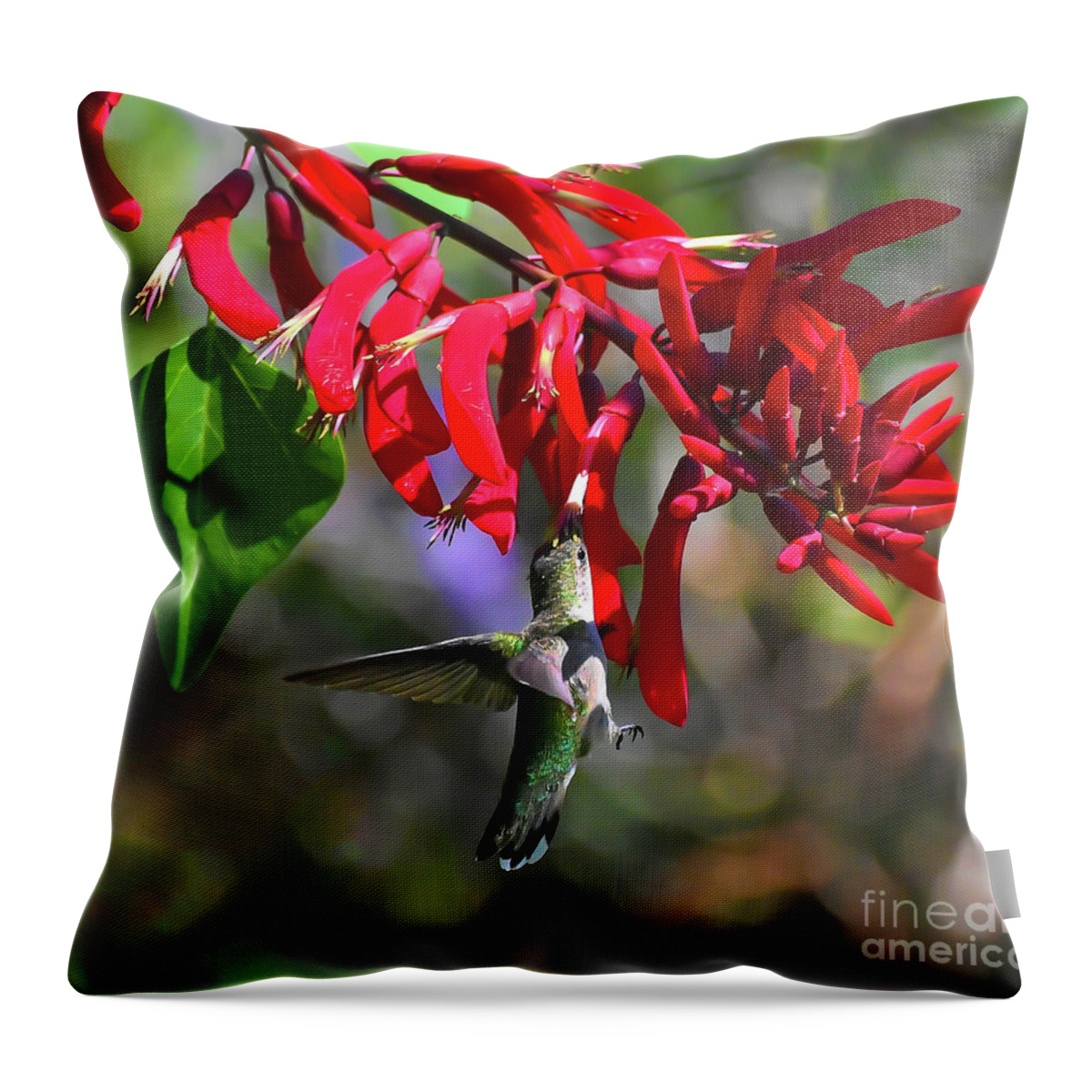 Hummingbird Throw Pillow featuring the photograph Hummingbird in the Red by Kerri Farley