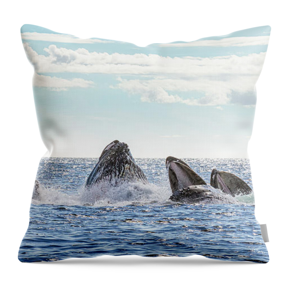 Whale Throw Pillow featuring the photograph Humpbacks in a Row by Michael Rauwolf