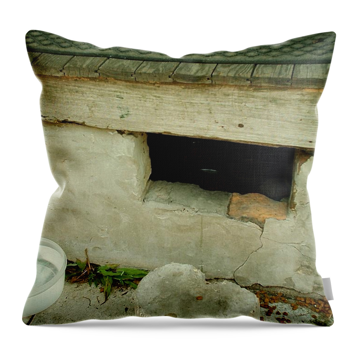 New Orleans Throw Pillow featuring the photograph Hurricane Katrina Series - 22 by Christopher Lotito