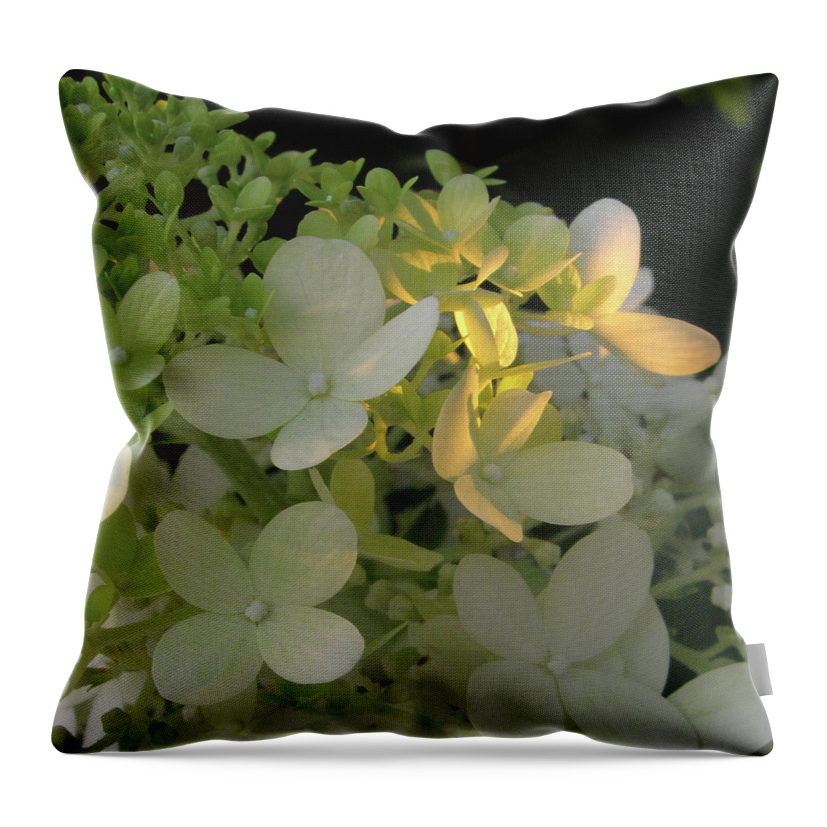 Hydrangea Throw Pillow featuring the digital art Hydrangea in Sunlight by Nancy Olivia Hoffmann