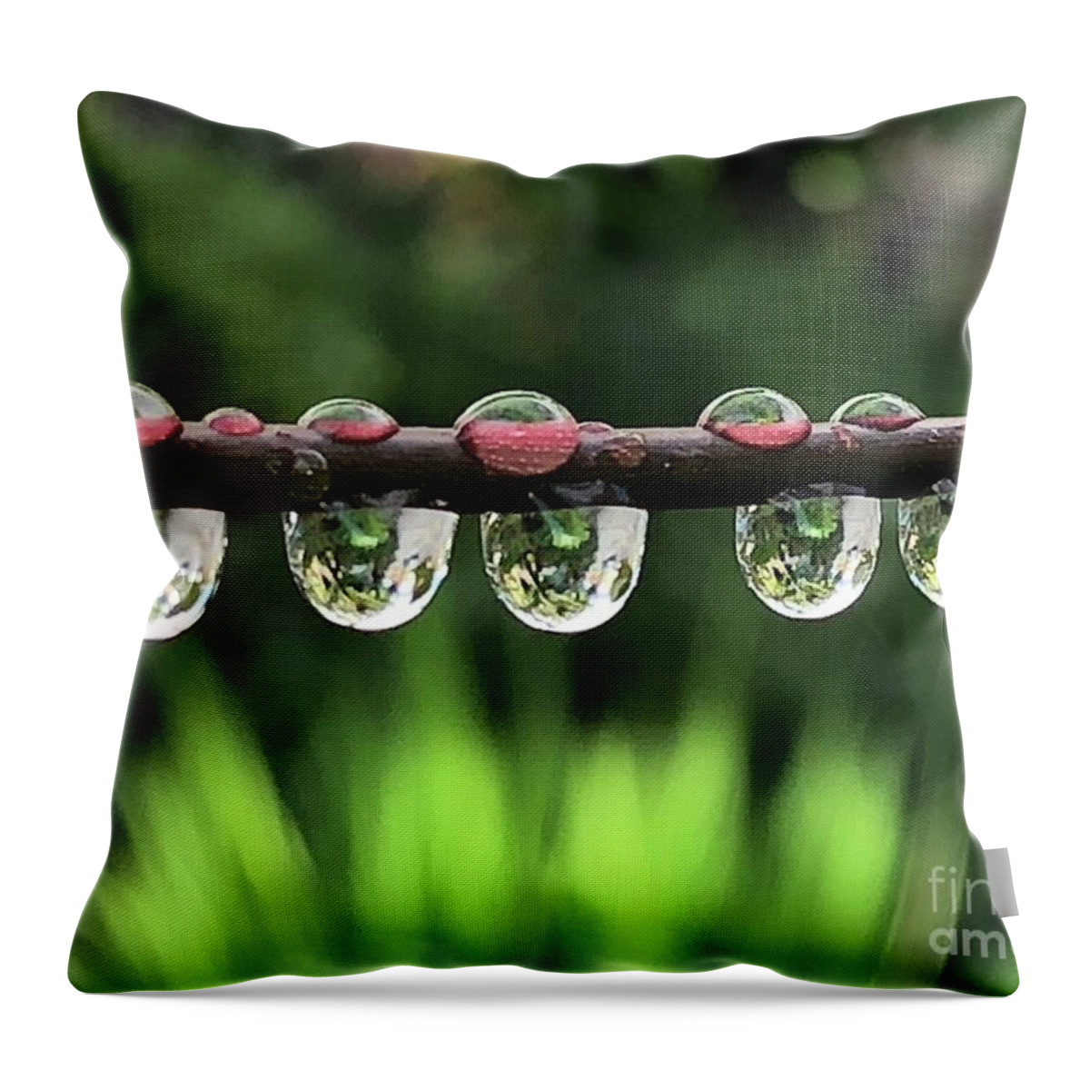 Water Throw Pillow featuring the photograph Hydration by Tina Marie