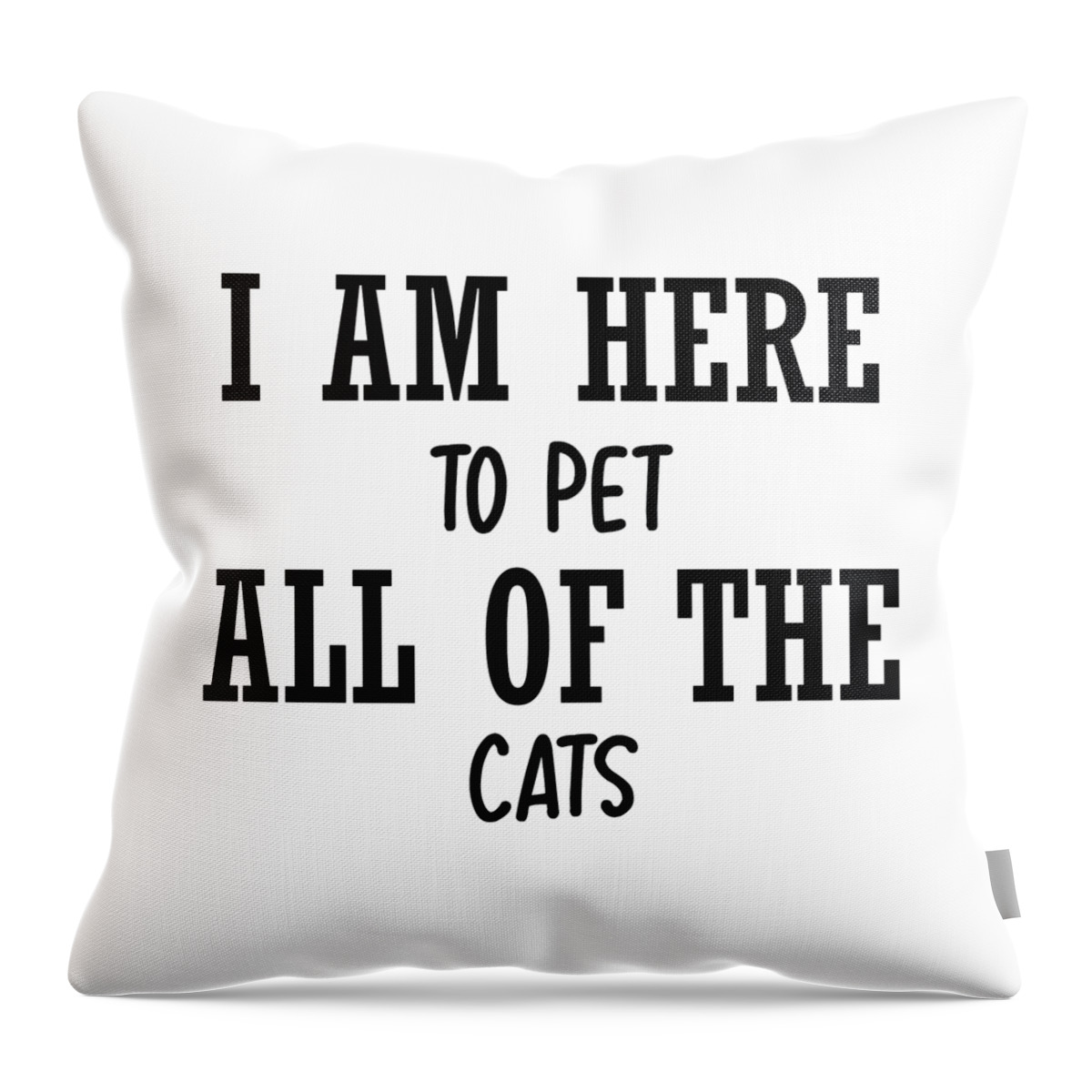 https://render.fineartamerica.com/images/rendered/default/throw-pillow/images/artworkimages/medium/3/i-am-here-to-pet-all-of-the-cats-jacob-zelazny-transparent.png?&targetx=60&targety=24&imagewidth=359&imageheight=431&modelwidth=479&modelheight=479&backgroundcolor=ffffff&orientation=0&producttype=throwpillow-14-14