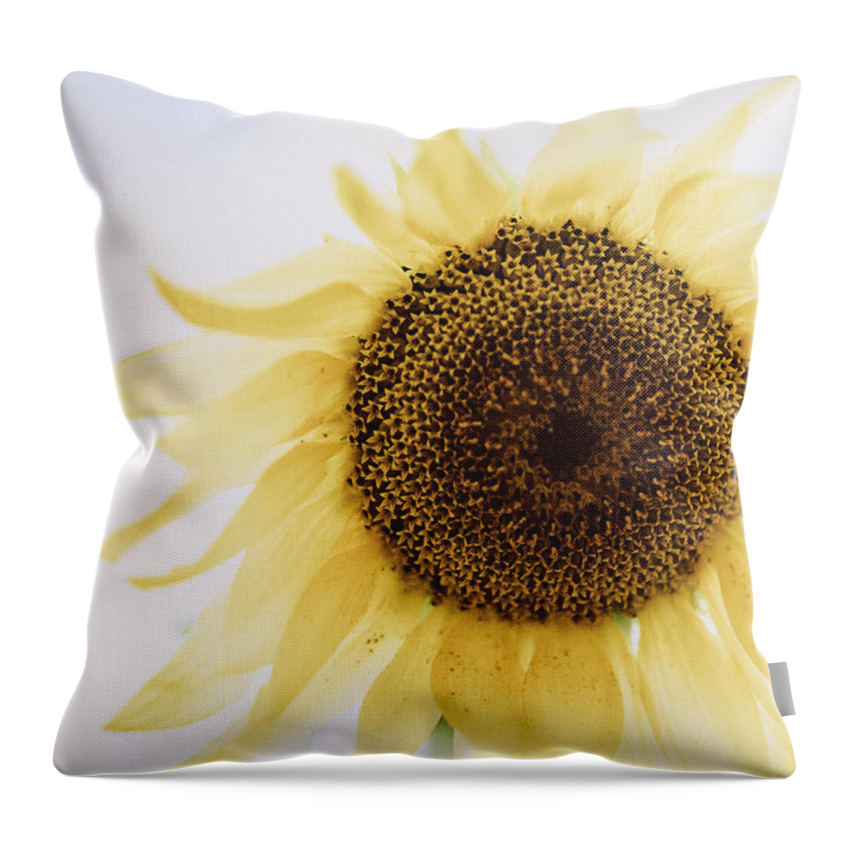 Sunflower Throw Pillow featuring the photograph I Dream of Sunflower by Ada Weyland