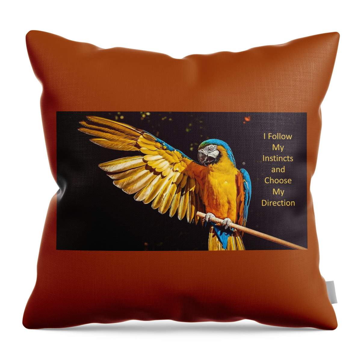 Parrot Throw Pillow featuring the photograph I Follow My Instincts and Choose My Direction by Nancy Ayanna Wyatt