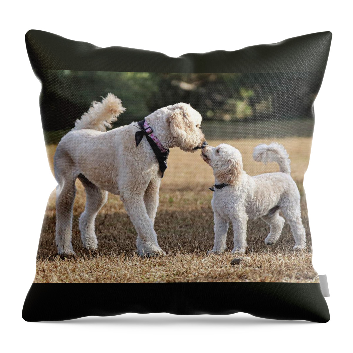 Dog Throw Pillow featuring the photograph I like you by John Linnemeyer