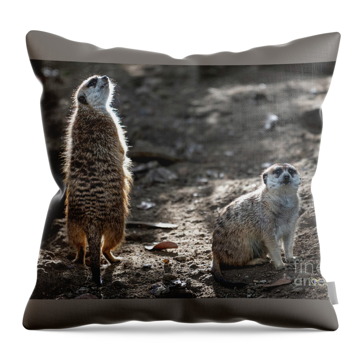 Brown Throw Pillow featuring the photograph I Smell Food by David Levin