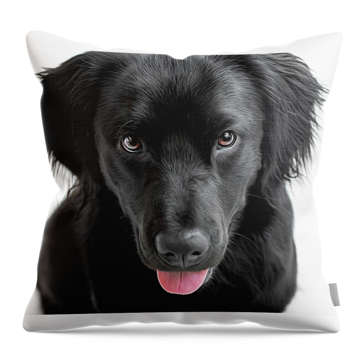 Playful Throw Pillow featuring the photograph I want by Amy Dundon