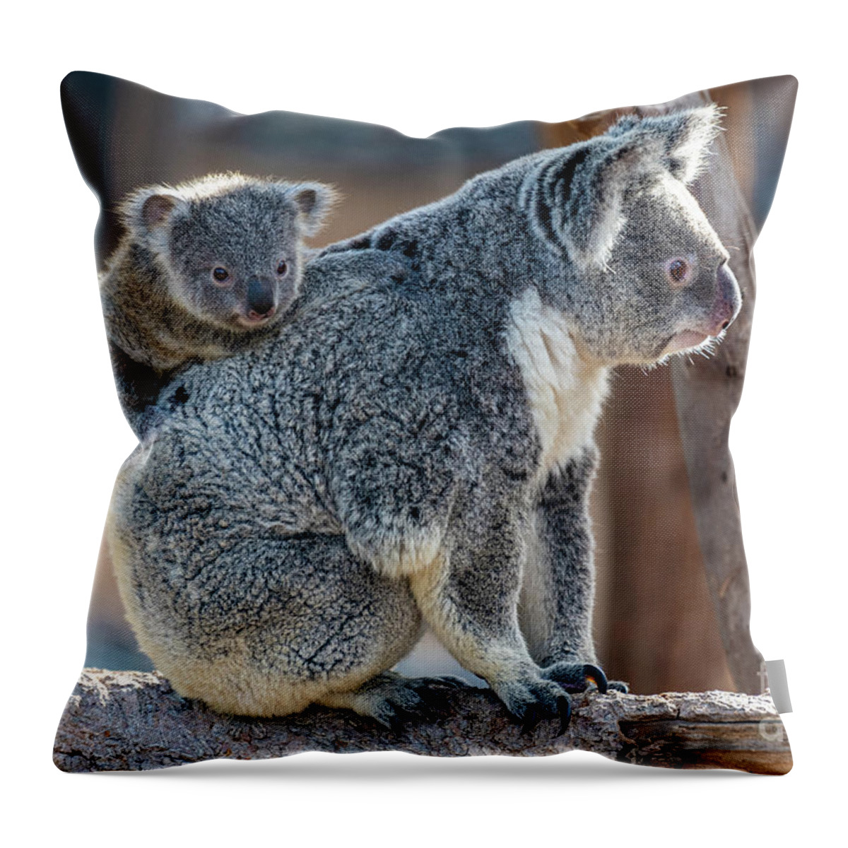San Diego Zoo Throw Pillow featuring the photograph I Want Off Please, Mama by David Levin