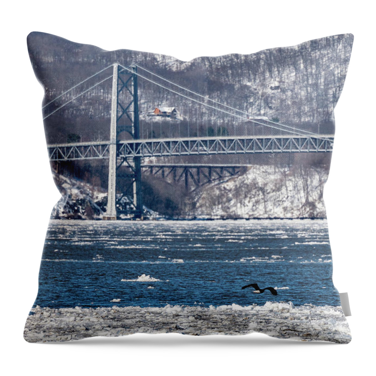 Bear Mountain Bridge Throw Pillow featuring the photograph Ice Floe by Kevin Suttlehan