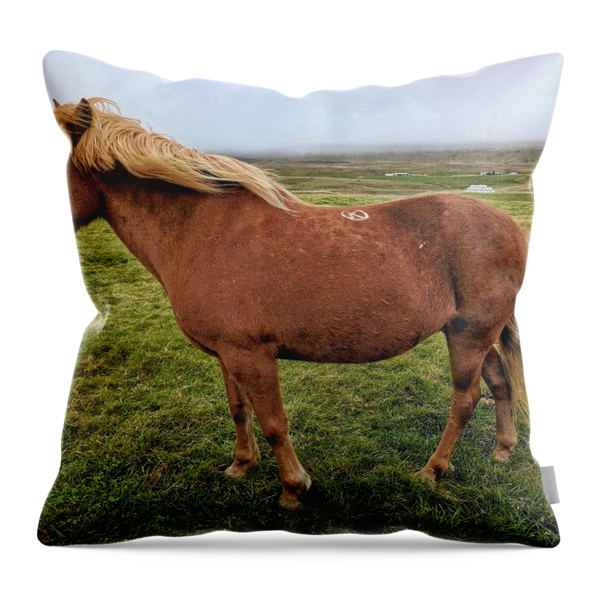 Iceland Throw Pillow featuring the photograph Icelandic horse by Yvonne Jasinski