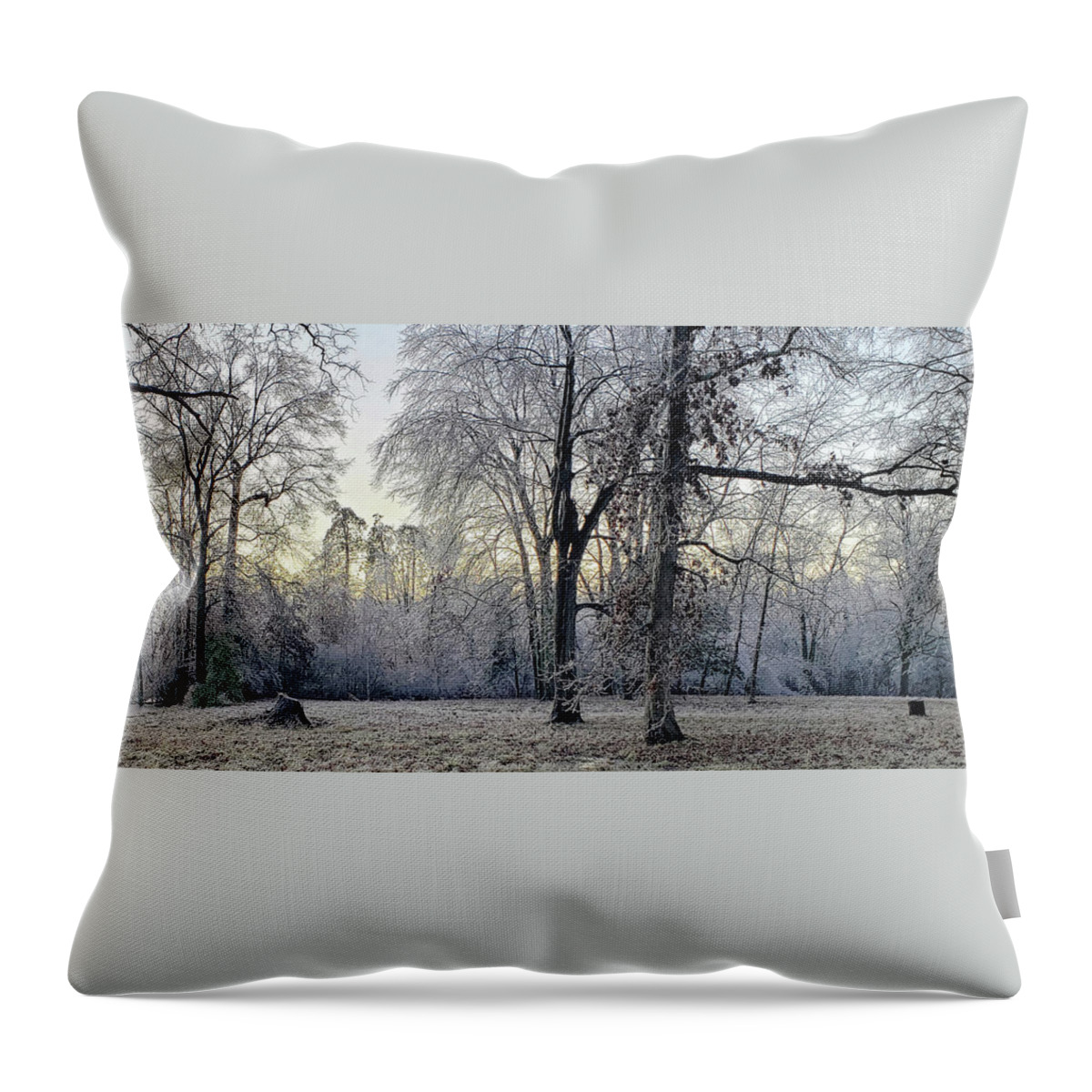 Historic Throw Pillow featuring the photograph Icy Morning at Silverbrook Gateway by GeeLeesa