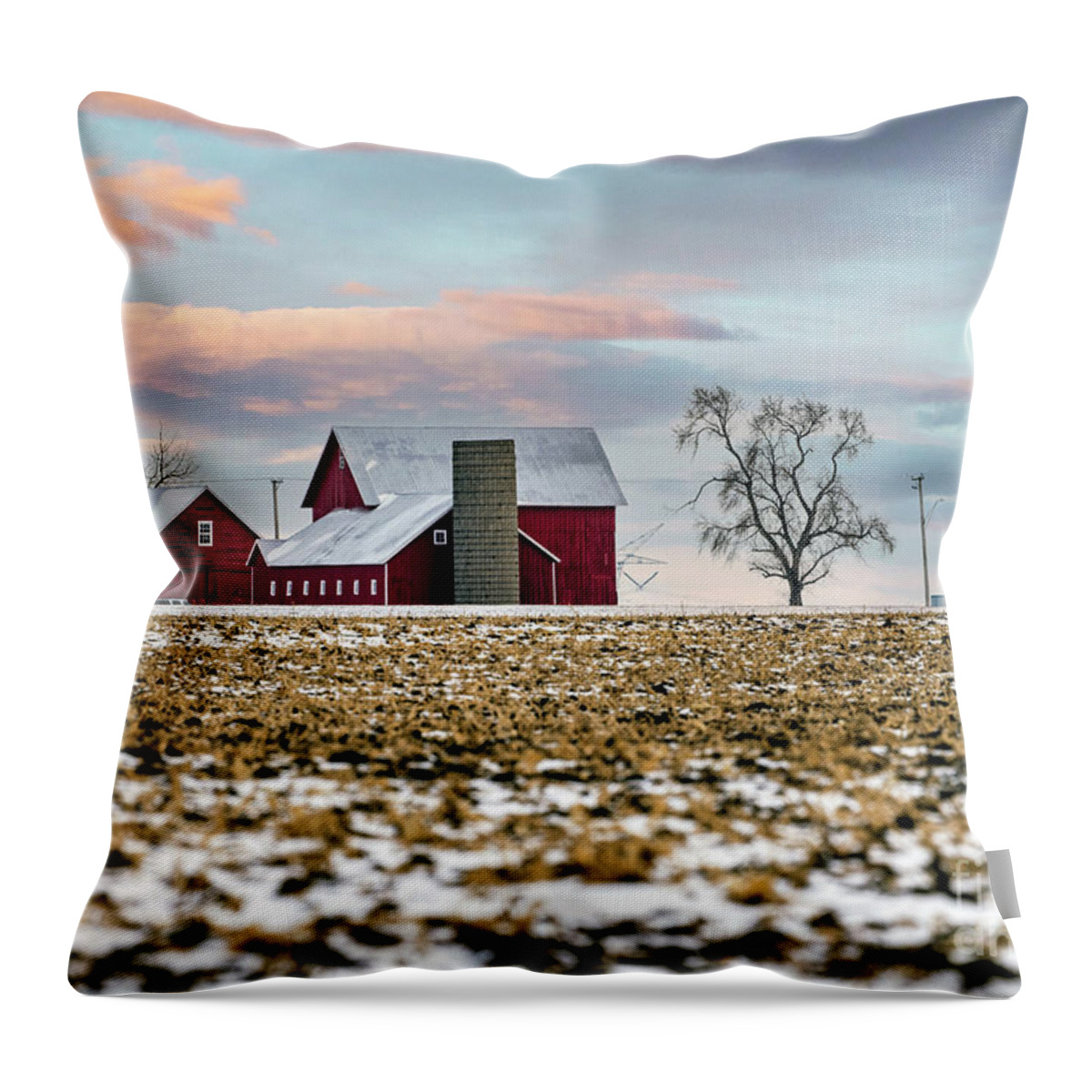 Illinois Farm Throw Pillow featuring the photograph Illinois Farm with Canada Geese in the Corn Field by Sandra Rust