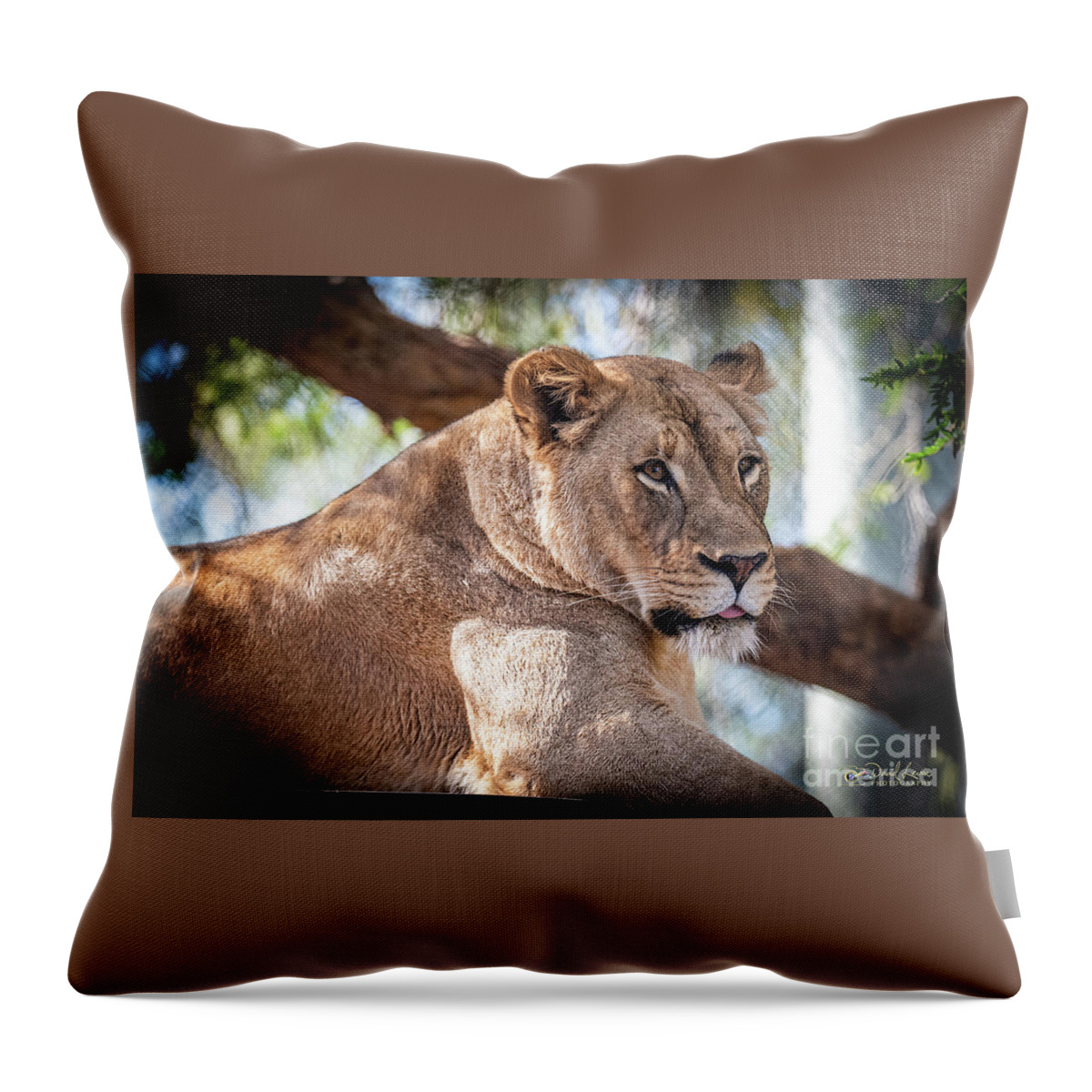 Cat Throw Pillow featuring the photograph I'm Not Watching You by David Levin