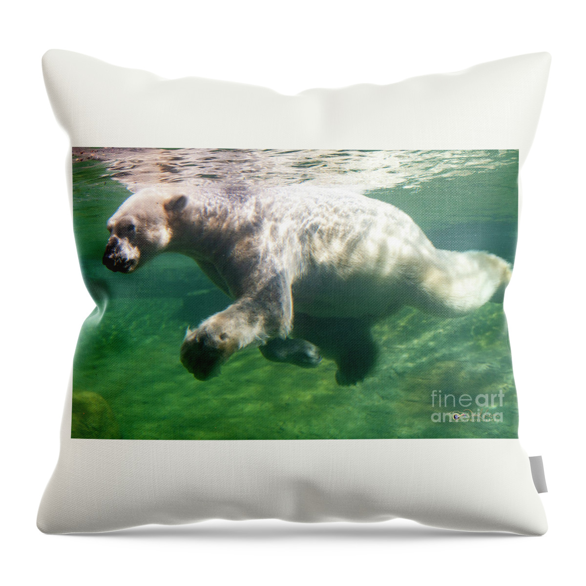 David Levin Photography Throw Pillow featuring the photograph I'm Swimming as Fast as I Can by David Levin