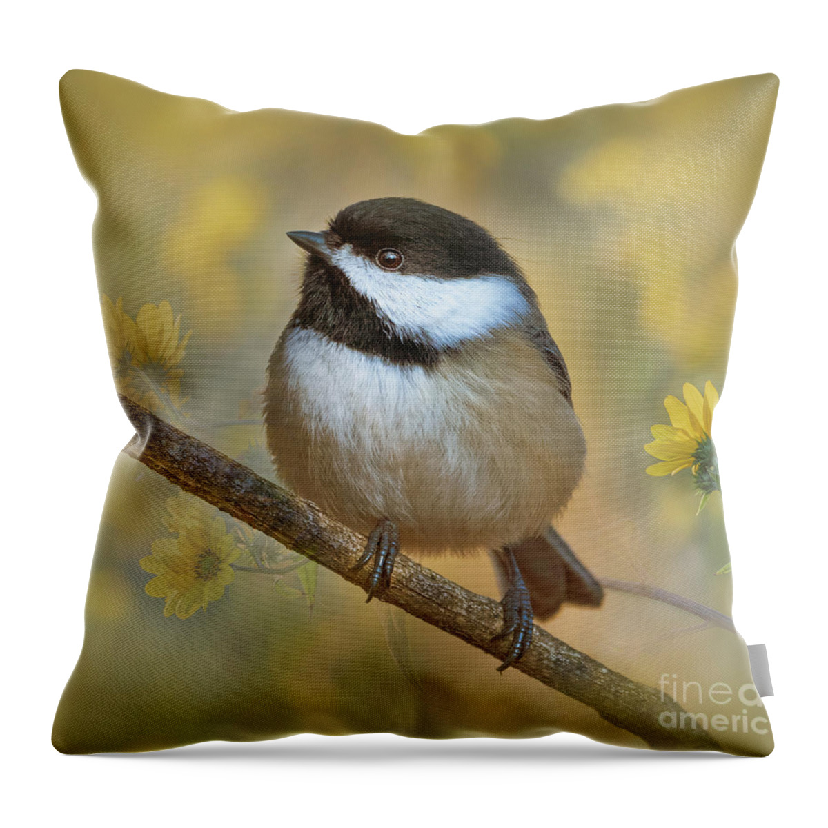 Black-capped Chickadee Throw Pillow featuring the photograph In a Summer Dream-Black-capped Chickadee by Sandra Rust
