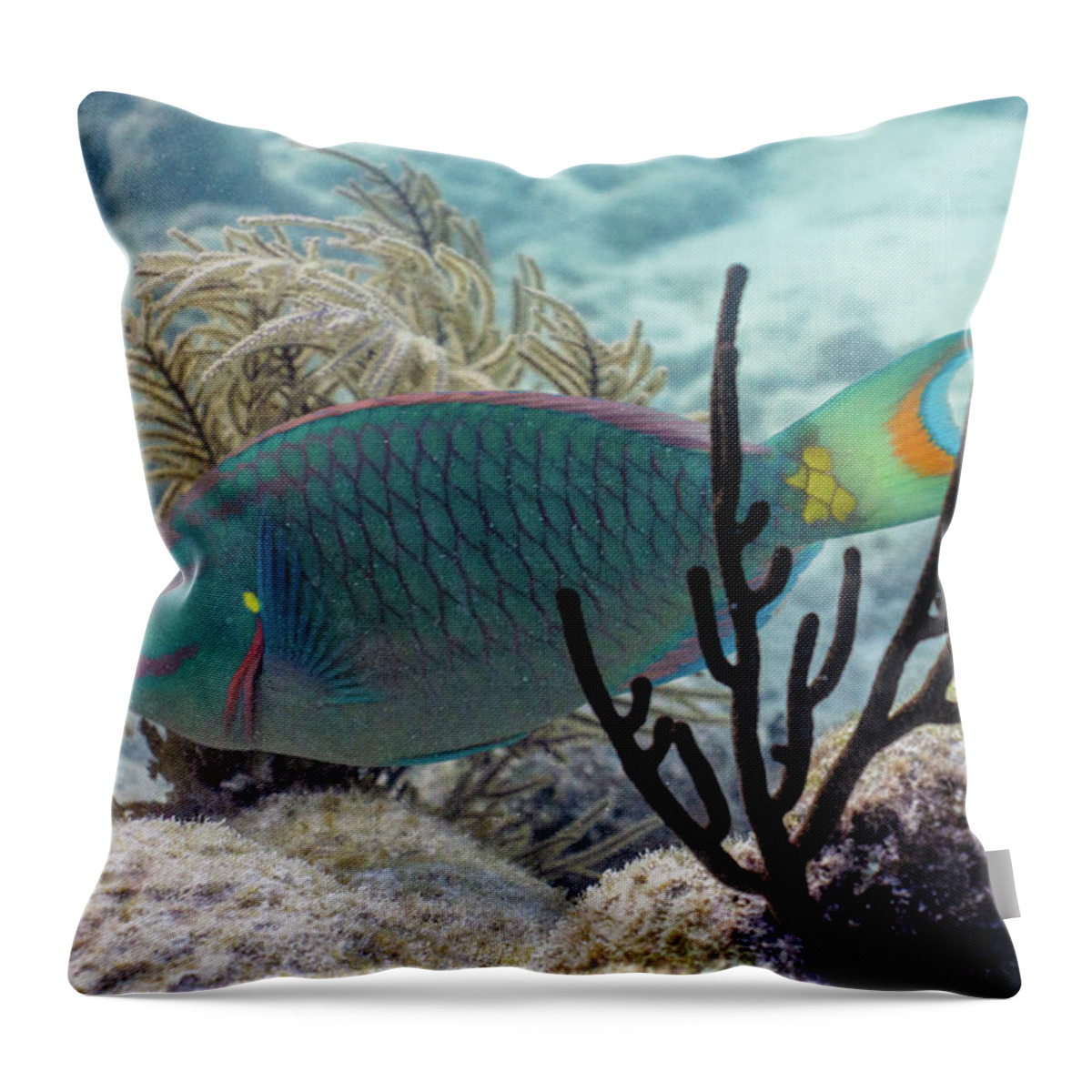 Stoplight Throw Pillow featuring the photograph In Between by Lynne Browne