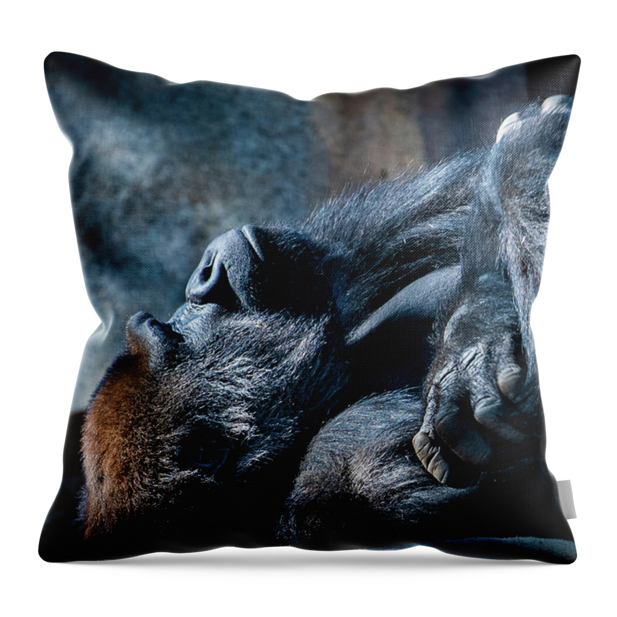 Animals Throw Pillow featuring the photograph In Deep Thought by David Levin