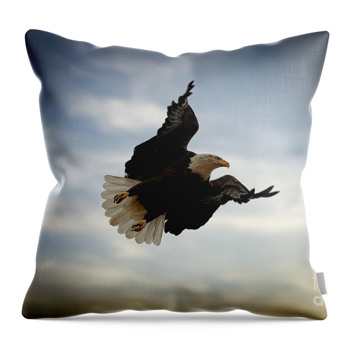Eagles Throw Pillow featuring the photograph In Flight by Veronica Batterson