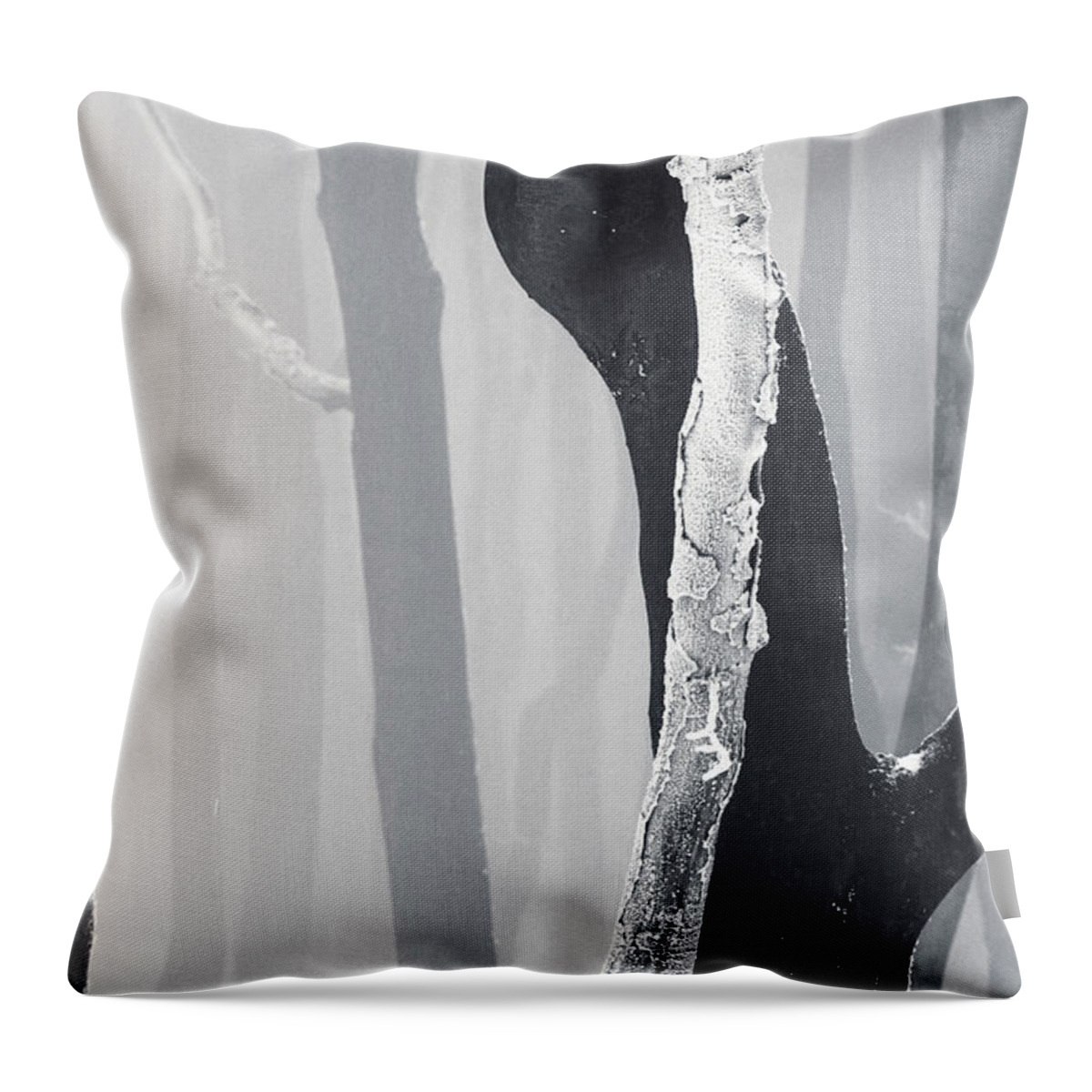 Mountain Throw Pillow featuring the photograph In Love by Evgeni Dinev