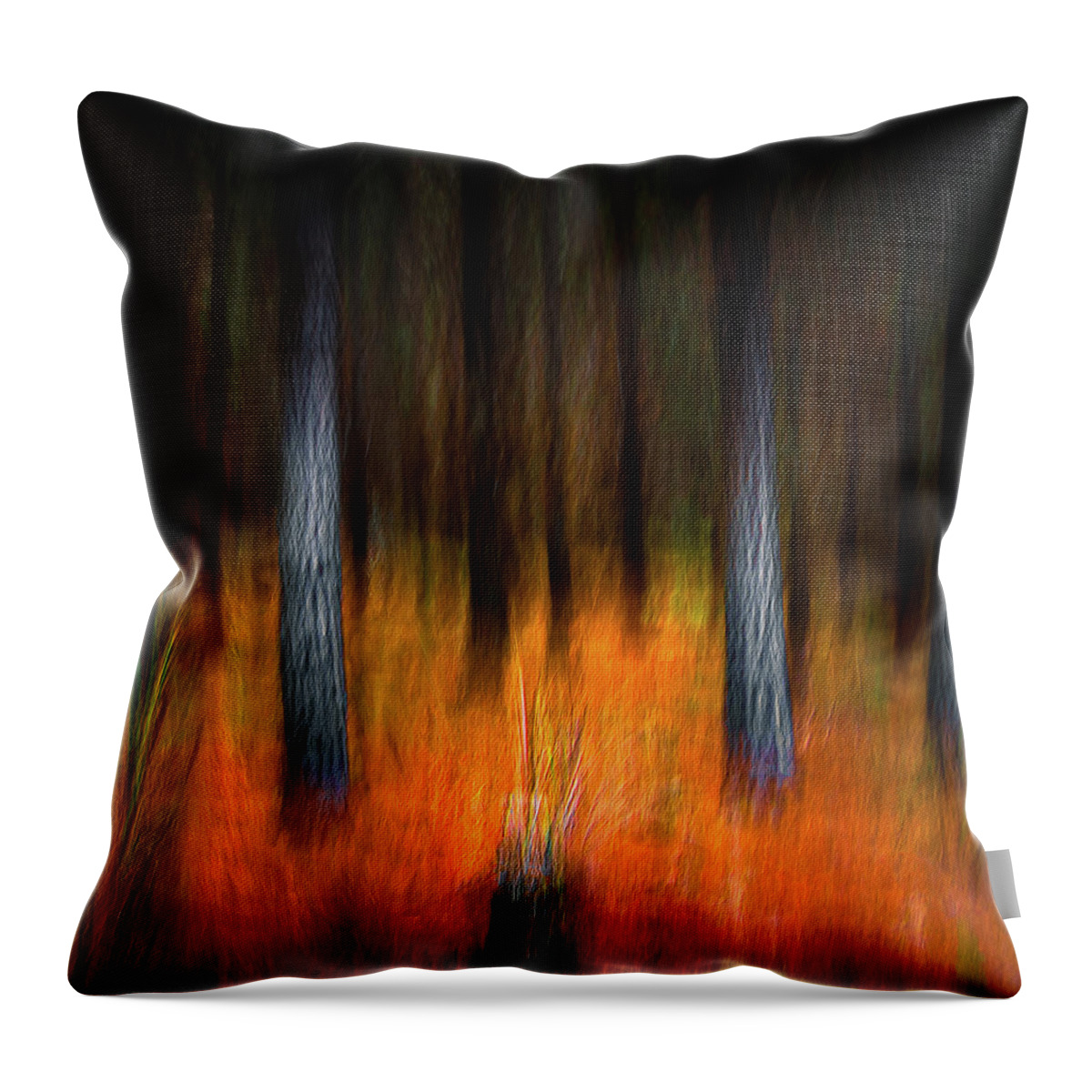 Landscape Throw Pillow featuring the photograph In the Forest by Grant Galbraith