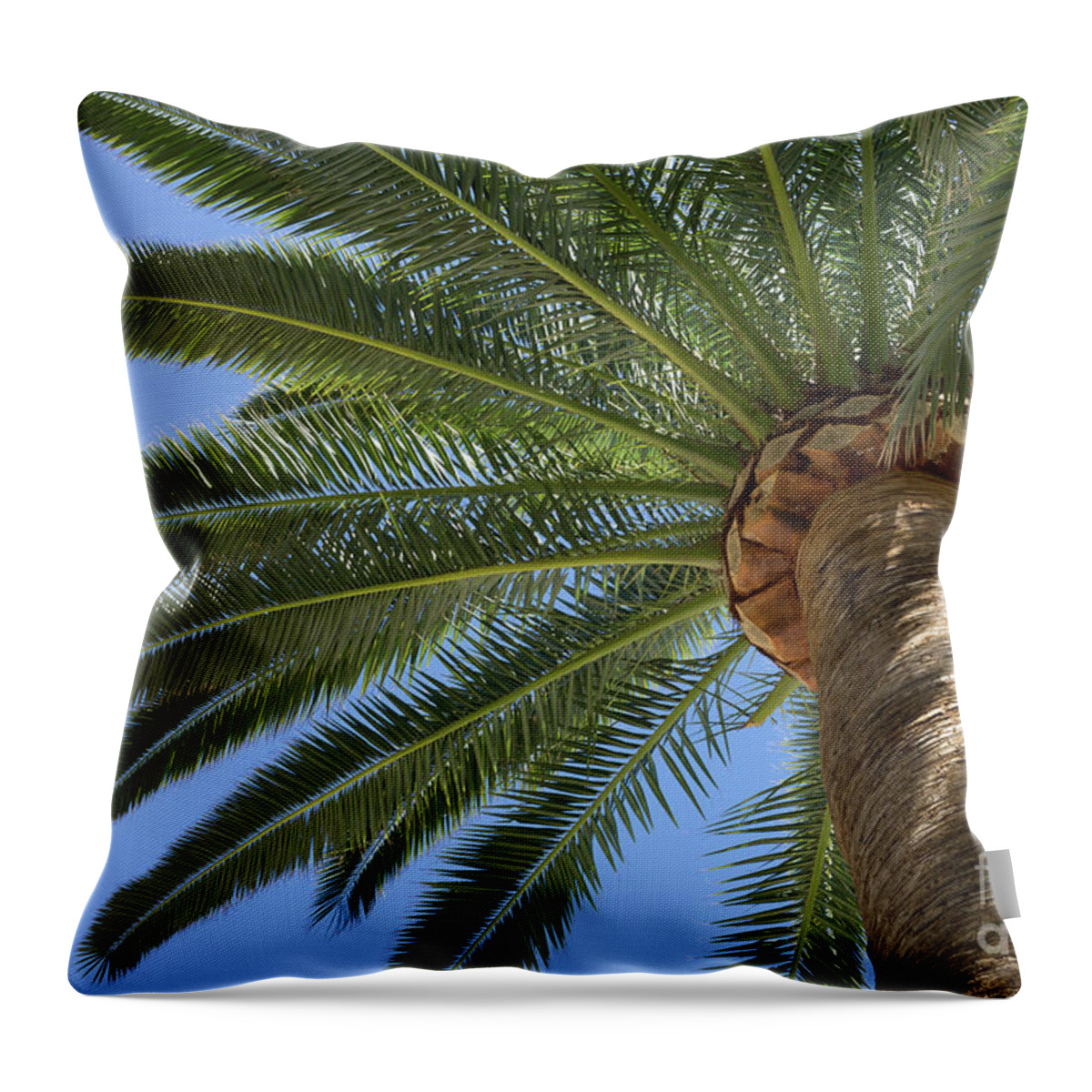 Palm Leaves Throw Pillow featuring the photograph In the shade of a tall palm tree, summer on the beach by Adriana Mueller
