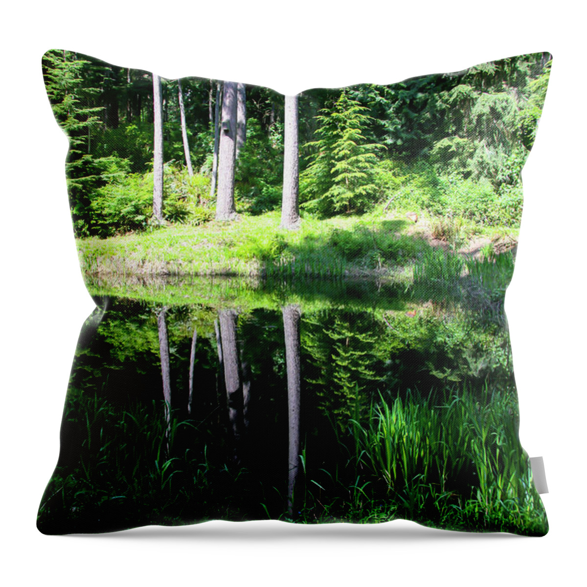 Hike Throw Pillow featuring the photograph In the trees by Leslie Struxness